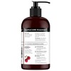 ApotheCARE Essentials The Booster Conditioner Rosehip Oil, Geranium, Aloe Vera