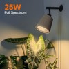 Bstrip Hanging Grow Lights for Indoor Plants, 25W Full Spectrum,