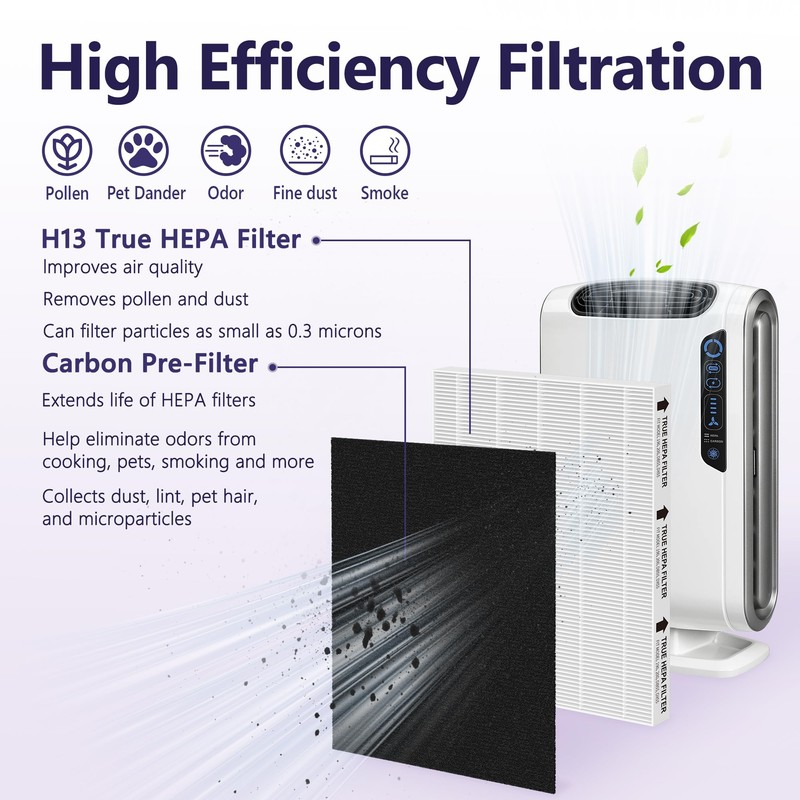 GoKBNY Aera-Max 200 2 Pack HEPA Replacement Filter, H13 True
