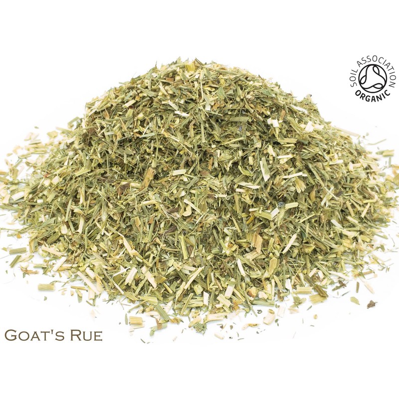 Organic Goat's Rue Pure Herbal Infusion (25 Unbleached Tea Bags