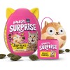 Bonkers Surprise Catnip Flavor Cat Box Cat Toy