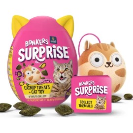 Bonkers Surprise Catnip Flavor Cat Box Cat Toy