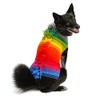 Chilly Dog Rainbow Mohawk (X-Small)