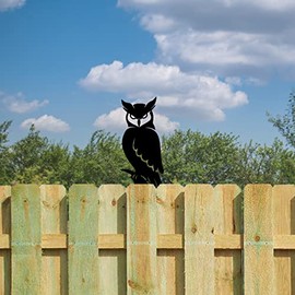 Owl Peeker - Outdoor Patio Garden Design Fence Ornament