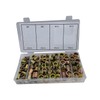 Comprehensive 95-Piece Carbon Steel Rivet Nut Set - Flange Blind