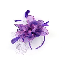 Song Qing Fascinators Hats for Womens Tea Party Derby Hat Feather Mesh Veil Headwear Hair Clip Cocktail Bridal Wedding