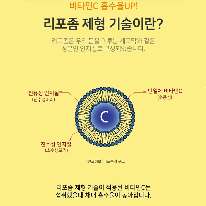 WELLERS 리포좀 비타민C 500 식약청인증 리포조말 비타민씨 높은 흡수율 효능