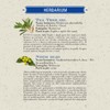 Helan, Oleoduo of Tea Tree and Neem Organic Skin Cleansing