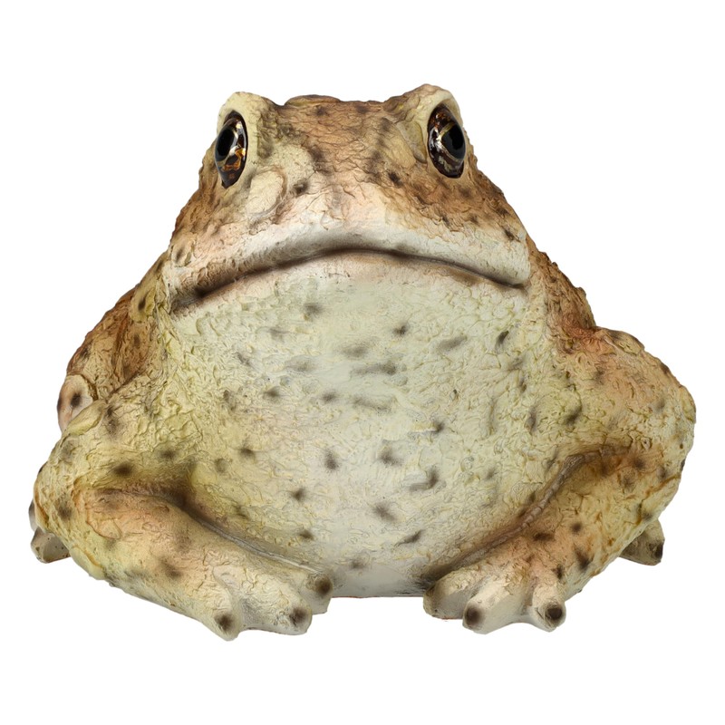 Figuren Shop GmbH HotAnt Realistic Garden Toad 12.5 cm Weatherproof