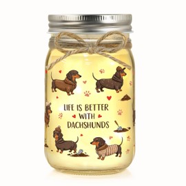 Dachshund Gifts for Women Dachshund Decor Weiner Dog Lover Gifts for Women Mason Jar Night Light