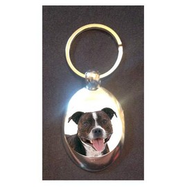 DottsMusic Staffordshire Bull Terrier - Pet/Dogs Lovers Shopping Trolley Keyring - Token (£1 Coin)