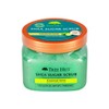 TREE HUT Shea Sugar Scrub 510g 8 Options - Tropical