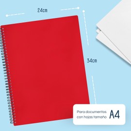RAYLU PAPER - File Folder with Clear A4 Plastic Sleeves and Durable Opaque Polypropylene Cover Document Folder with Sleeves for School and Office (40 Pockets, Red)