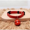 Cat Collar, Cat Collar, Includes Pet Collar, Kitten Collar, Includes