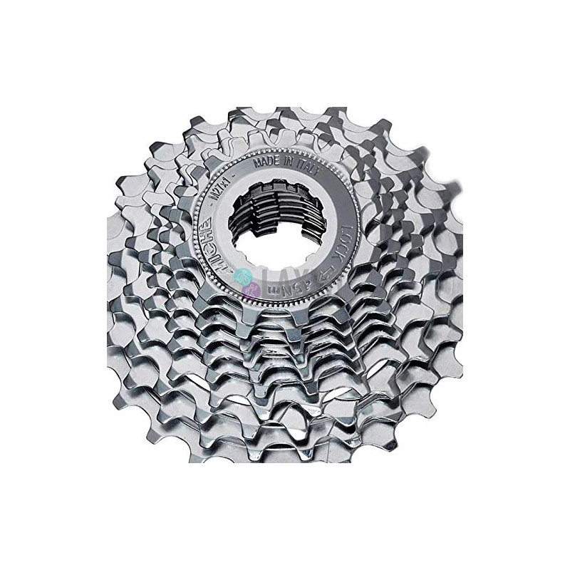 Miche Unisex's Primato 10 Speed Cassette, Campagnolo, 12/25
