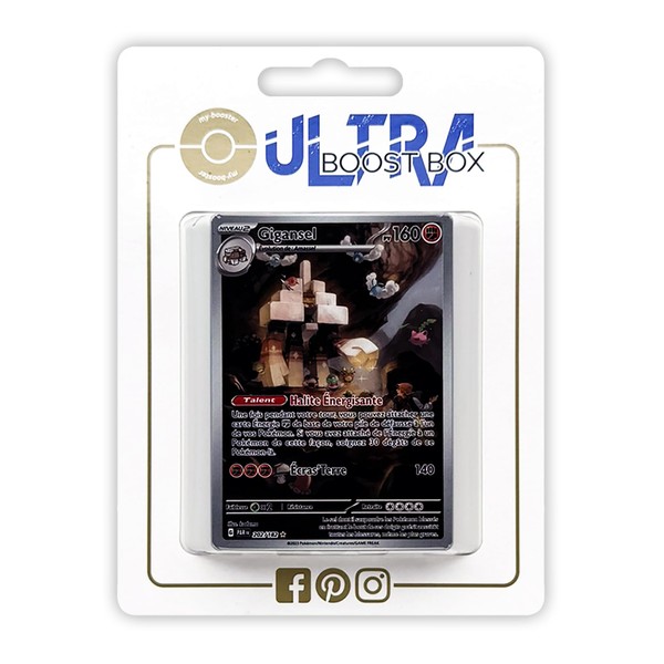 my-booster Pokémon Company SV04-FR-UB-202, Multi-Colour