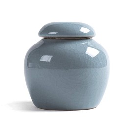 KnocKconK Mini Pet urn, Small Ceramic Ash Funeral Burial Box, Cremation Keepsake for Small Animals, Bird, Reptile, Rabbit, Hamster, Galesasur, Forever Memorials(Blue, Green, Cyan)