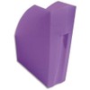 Exacompta - Ref 18019D - Magazine File - 292 x