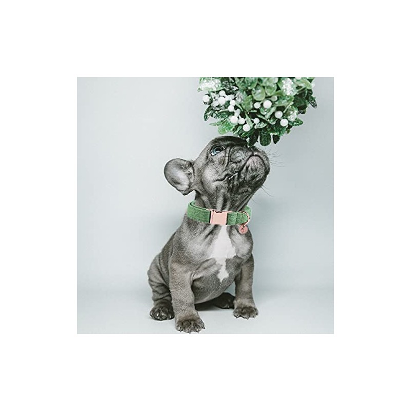 DOGWONG Collar y correa de algodón para perro