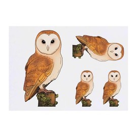 Azeeda 4 x 'Sitzende Schleiereule' Temporäre Tattoos - Wasserfest, Hautfreundlich & Ungiftig · Transfers in Verschiedenen Größen (TO00075712)