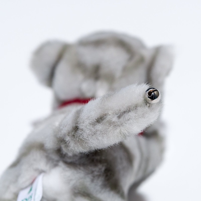 putisixeri- Crawl Gray