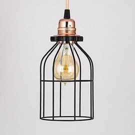 Fantado Bottle Shaped Vintage Edison Light Bulb Cage for Pendant Lights by Pa...