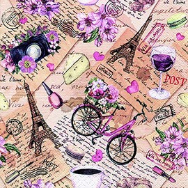 20 Napkins Insights into Paris as Table Decoration for Lovers of Paris and France 33 x 33 cm