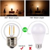 12 Volt Low Voltage LED Light Bulbs - Soft Warm