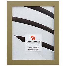Craig Frames Confetti, Modern Olive Green Picture Frame, 18 x 24 Inch