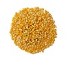 Organic Popcorn Kernels unpopped Non-GMO, Vegan Bulk Raw (2 lb)