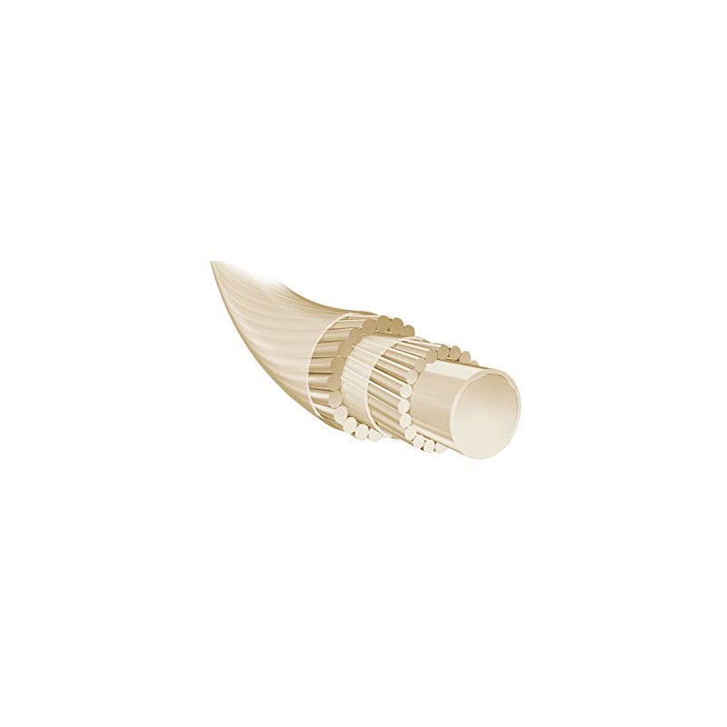 Babolat Tennis String SYNGUT FORCE NATURAL 12M GAUGE 1.3mm 241145