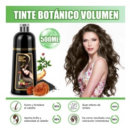 Shampoo Tinte Instantaneo Cubre Canas Extracto Plantas 500ml