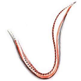 4"-6" Red,black,white & Grizzly Feathers for Hair Extensions Bonded Together At the Tip Salon Quality Feathers! 5 Feathers