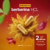 Berberina Cápsulas 500mg Pure Berberine Life Sabor