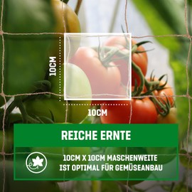 GardenGloss Jute Trellis Net, Sustainable, 100% Biodegradable, with Large Mesh Size for Cucumbers, Tomatoes and Other Vegetable Plants, Trellis for Climbing Plants (2 m x 2.5 m)