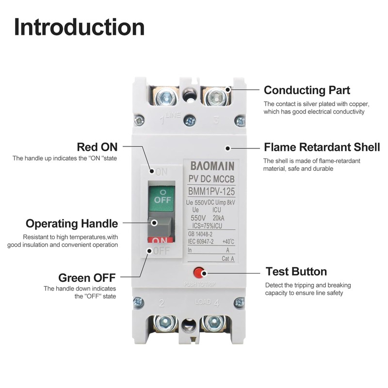 Baomain 100A DC Circuit Breaker 2 Pole 550V, Moulded Case