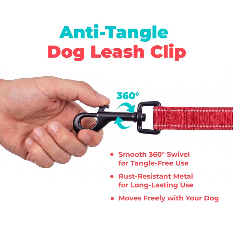 Best Pet Supplies Voyager Nylon Dog Leash - Red, Small