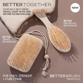 EcoTools Travel Hairbrush Bundle, Detangle & Smooth Hair On-The-Go, Brushes For Wet Or Dry Hair, Heat Resistant Mini Hairbrushes, Eco-Friendly Bamboo, Vegan, & Cruelty-Free, 2 Count