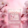 Colonial Candle Pink Cherry Blossom Scented Jar Candle, 2 Wick,