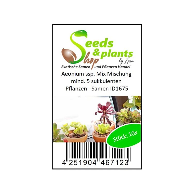 Pcs - 10x Aeonium SSP. Mix Mixture at Least 5