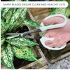 LOOPSEED Precision Gardening Scissors Plant Trimming Pruning Shears Garden Pruners