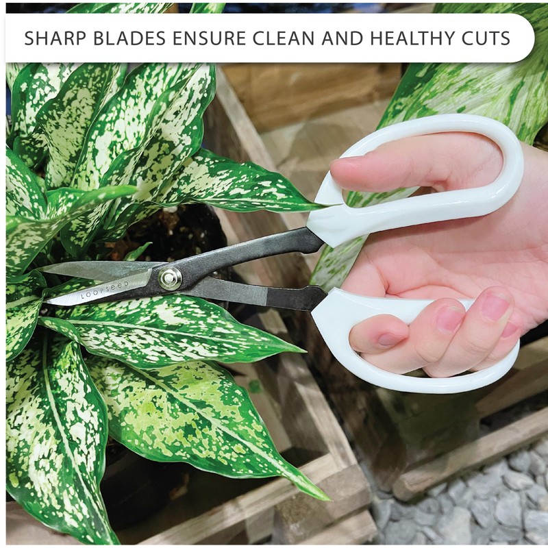 LOOPSEED Precision Gardening Scissors Plant Trimming Pruning Shears Garden Pruners