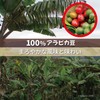 Mount Hagen Organic Fair Trade Instant Coffee 100g 3 Count