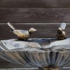 CLGarden 1552 Bird Bath VGT4, with Two Decorative Birds on