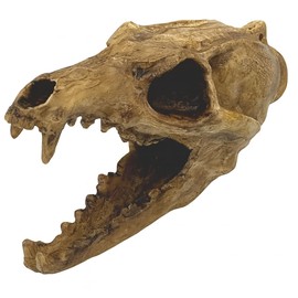 Screaming Aztec Death Whistle at 135 decibels - Carnivore by TribalEcho