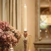 Root Candles 4-Count Unscented Dinner Candles Dripless Beeswax Enhanced Timberline™