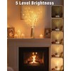 Kinamy LED Tree, Set of 3 Light Trees, 60 LEDs,