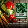 Gardeners Basics, Bloomsdale Spinach Seeds for Planting is A Great