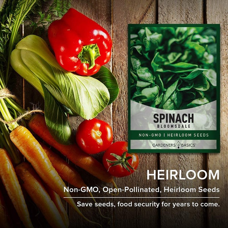 Gardeners Basics, Bloomsdale Spinach Seeds for Planting is A Great