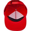 Powell Peralta Ripper Snapback Hat Red